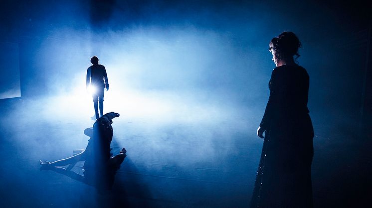 Det har aldrig funnits en kvinna som Anna Karenina / Riksteatern & Orionteatern