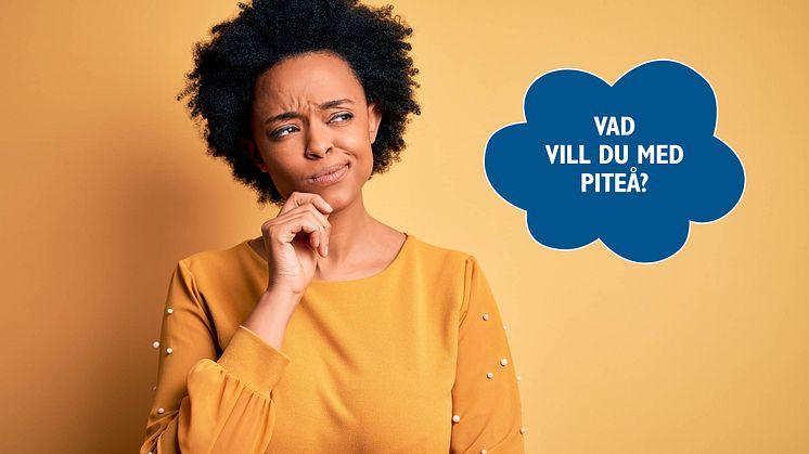 Resultatet från dialogen 2022 utgör ett underlag för fortsatt utveckling.