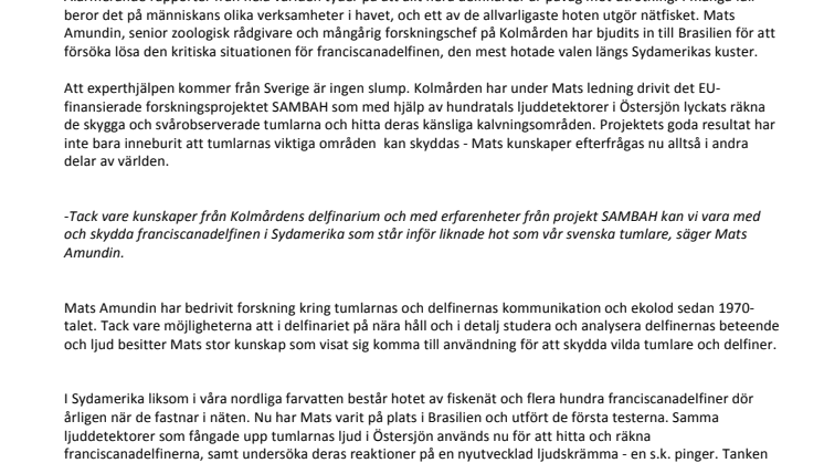 Hundratals delfiner ska räddas från drunkning