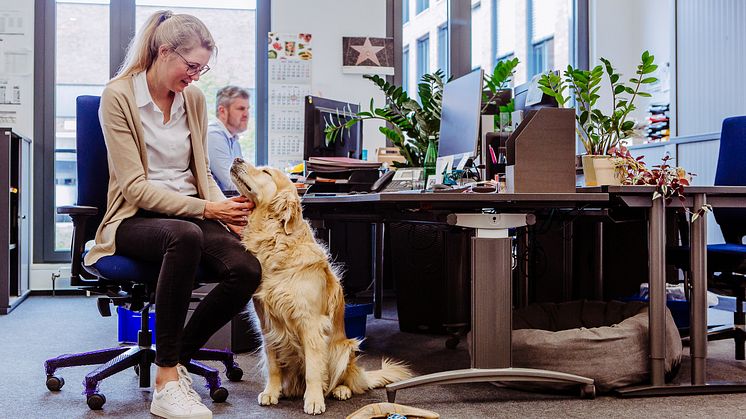 #MeinTierbleibtbeimir: Bei Fressnapf ist "Kollege Hund" seit jeher herzlich willkommen. Schon vor der Pandemie "arbeiteten" rund 120 Hunde Tag für Tag am Campus. Nach Corona werden es noch ein paar mehr sein. Foto: Fressnapf Holding SE/Yvonne Ploenes