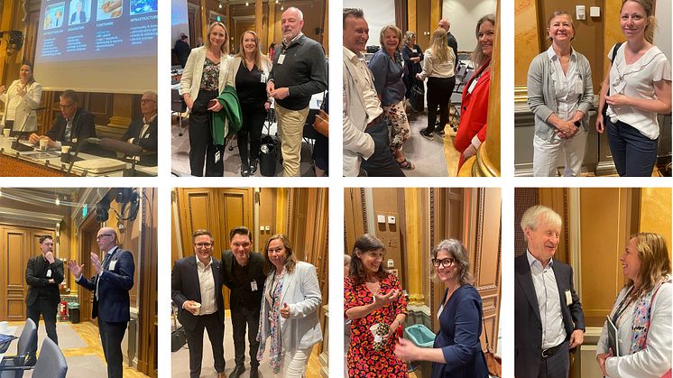 Riksdagsseminarium collage.jpg