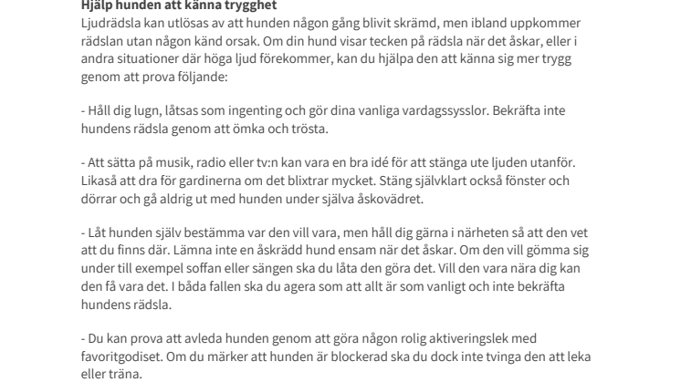 Såhär kan du hjälpa din åskrädda hund 