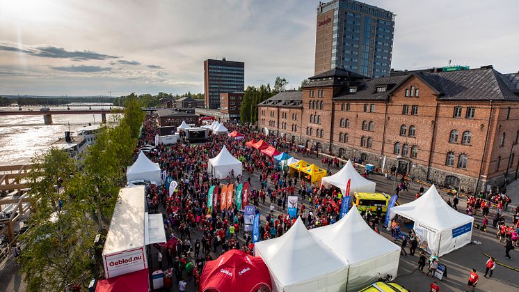 blodomloppet-2018-1164