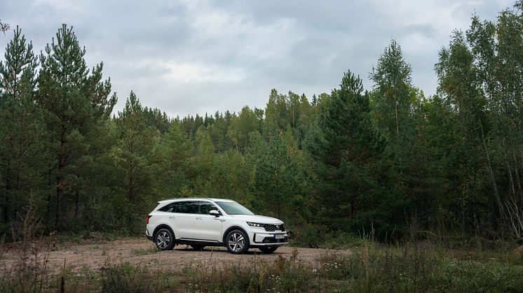 Kia Sorento Diesel_0060