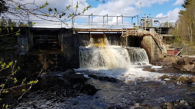 Milsbrodammen är en av de två kraftverksdammarna som ska rivas för att återställa den ekologiska statusen i Gnarpsån. Foto: Katarina Lindström.
