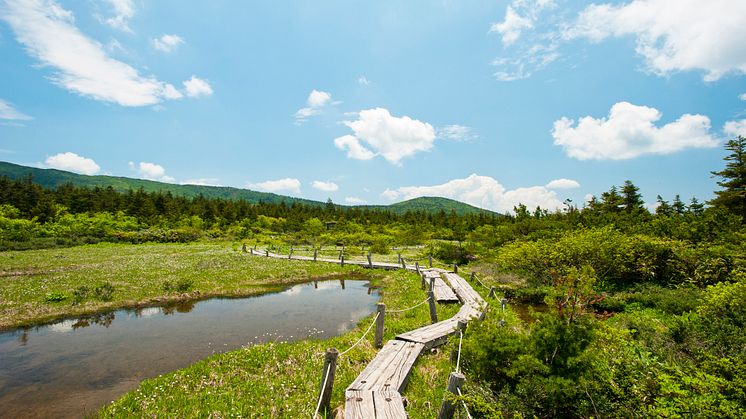Trekking(Zao)