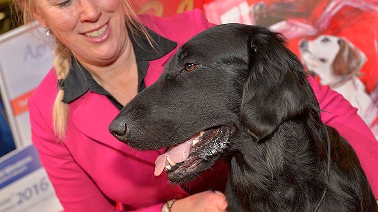 Simply Magic blev Best in Show