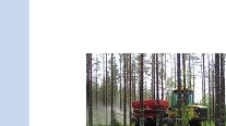 SVU-rapport 2011-09: Kväveberikning och skogsgödsling med torkat granulerat avloppsslam