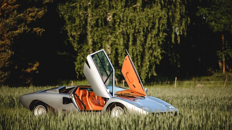 BotaniCar 2023