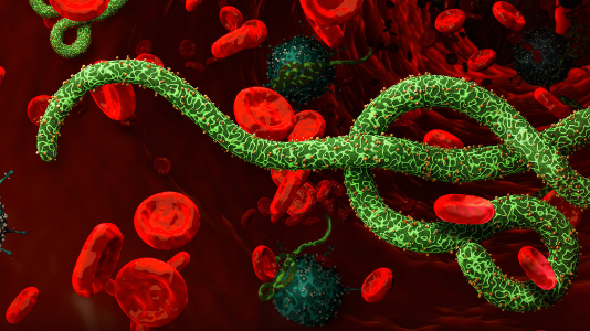 Ebola Virus