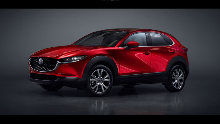cx-30-priser-og-udstyr-april-2024.pdf