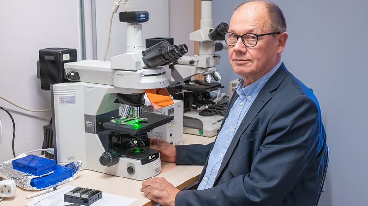 Anders Blomqvist, professor emeritus vid Institutionen för biomedicinska och kliniska vetenskaper vid Linköpings universitet.