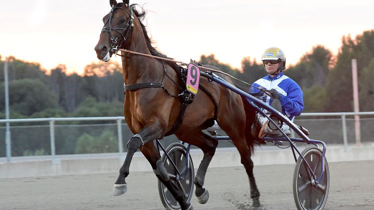 Ecurie D. är inbjuden till Elitloppet.