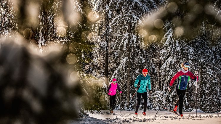 Längdskidåkning på Billingen i Skövde Foto: Alexander Arnholm för vastsverige.com