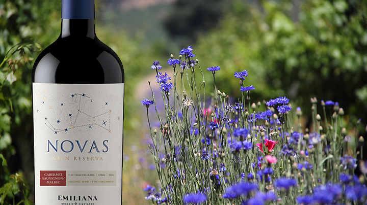Nyhet 1 september – Novas Cabernet Sauvignon Malbec