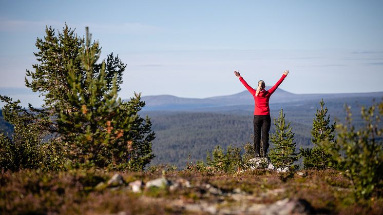 Destination Lofsdalen och projekt Vision Lofsdalen nominerade till Årets Turismföretagare 2020