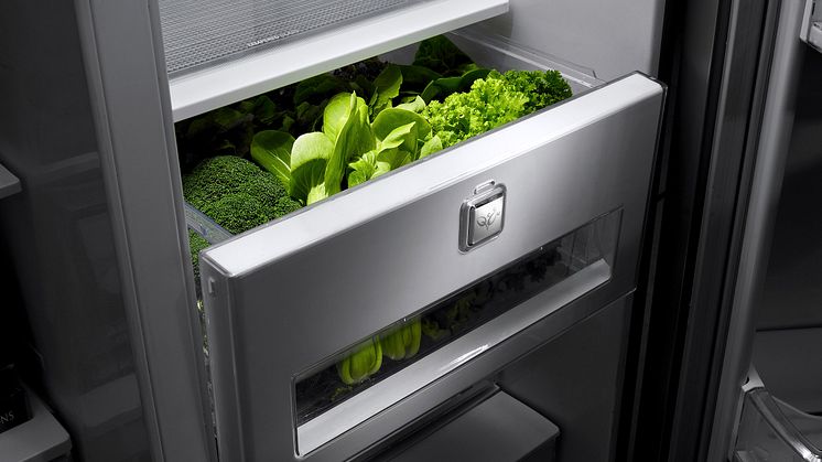 Vacuum Fresh Crisper