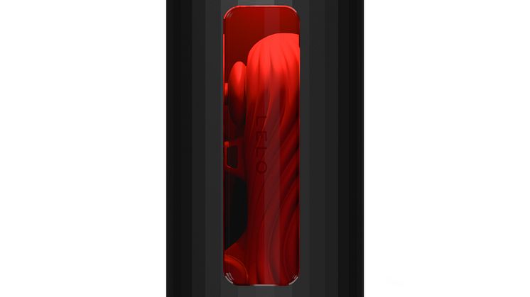 LELO F1S V3