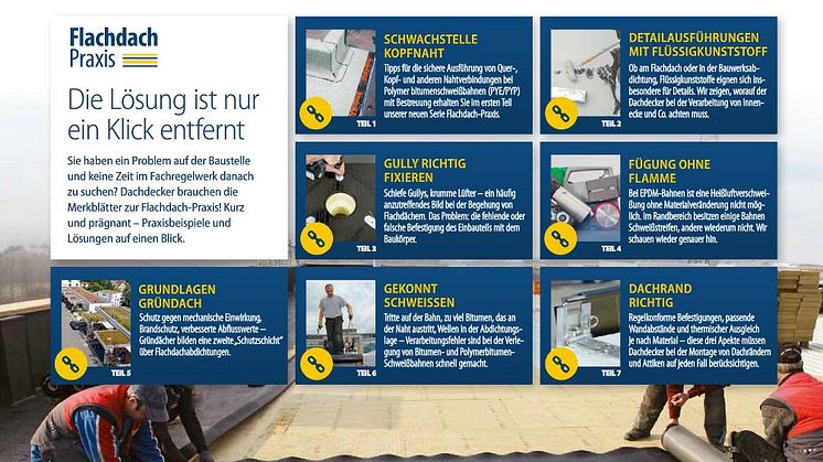 Beispielseite "Ratgeber Flachdach-Praxis" (jpg)