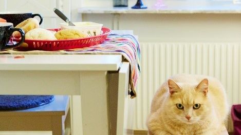  Willhem samarbetar med Huskurage för att skapa tryggare hem