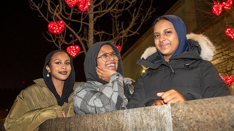 Iman Adan Galel, Deka Rage och Sabirin Dini från Bergsjön var tre av 10 000 europeiska ungdomar som i slutet av oktober deltog på Europeiska ungdomseventet i EU-parlamentet i Strasbourg.