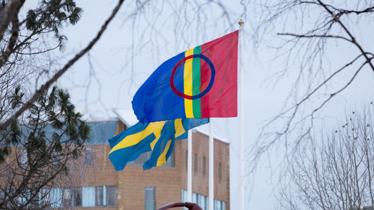 Samiska flaggan 
