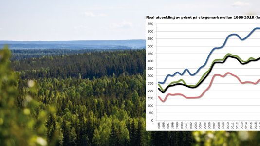 Stigande pris på skogsmark i södra- och mellersta Sverige, men tillbakagång i norr
