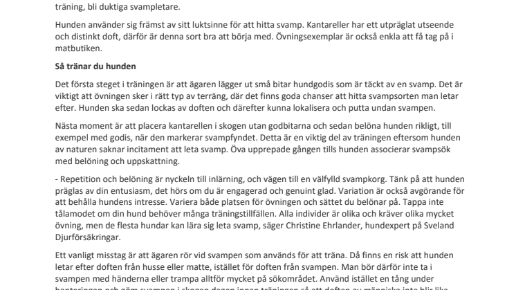 Hunden god hjälp i svampskogen