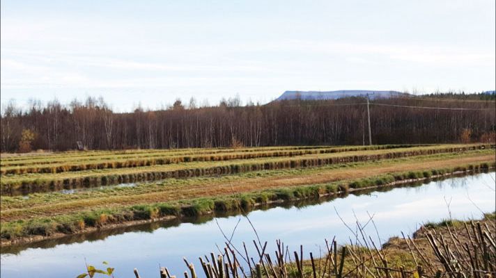 Framsidesbild SVU-rapport 2016-16. Hede fällningsdammar med Sonfjället i bakgrunden. Foto: Erik Norin, Sweco Environment
