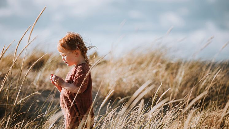 Sensommar i Halland. Foto: Alexander Hall