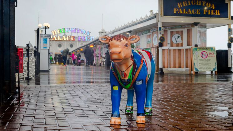 Cow-respondent travels on Thameslink
