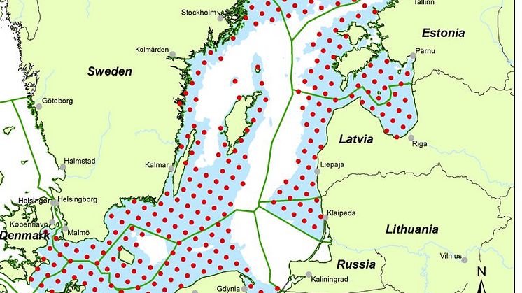 Hur skyddar vi tumlare i Östersjön? HaV bjuder in till workshop