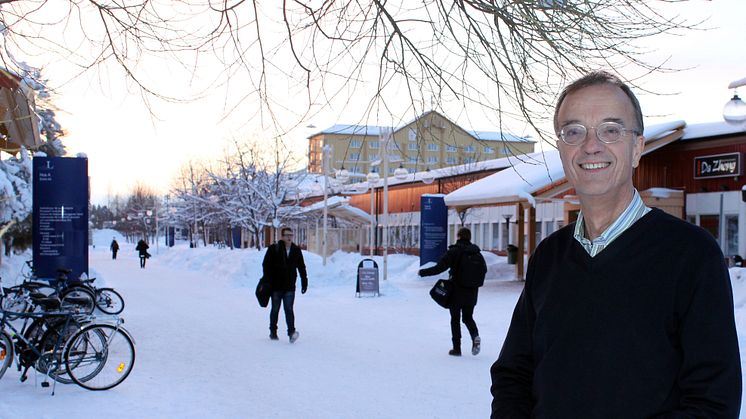 Sveriges främste mineralekonom