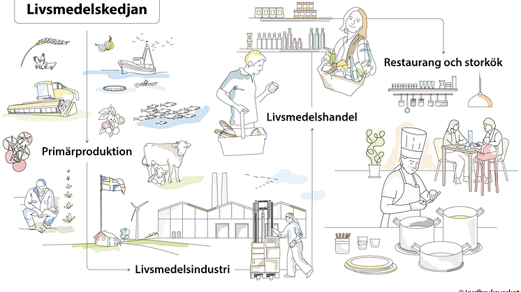 Livsmedelskedjan