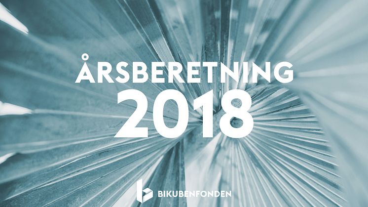 Få et indblik i Bikubenfondens økonomi, strategi og milepæle 2018