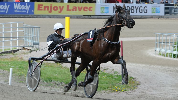 Rapide Lebel (FR) inbjuden till Elitloppet 2012