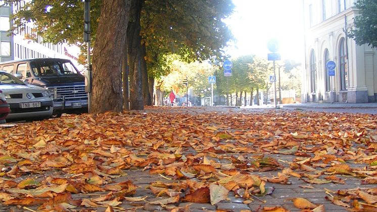 Höst i Karlstad
