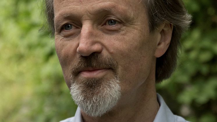 Foto av Stein Versto