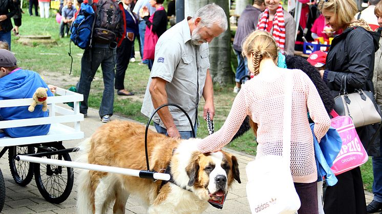 Tag der offenen Tür 2015