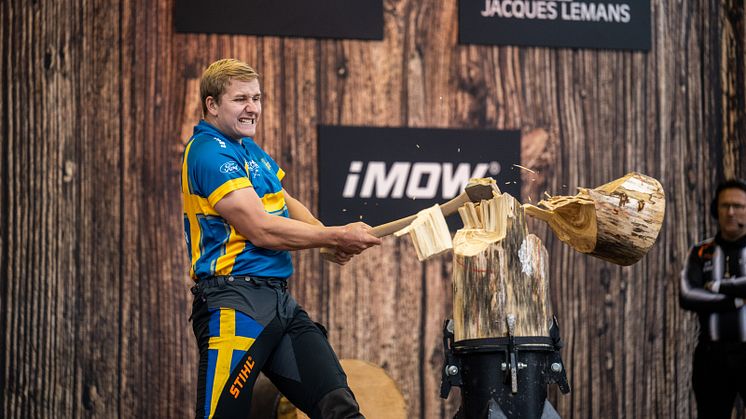 Emil Hansson Standing Block Chop.jpg