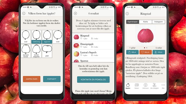 Tips på användbar äppel-app och en fruktförmedlingstjänst i skördetid 