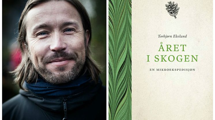 Torbjørn Ekelunds mikroekspedisjon: - Hva om jeg bare drar til skogs?