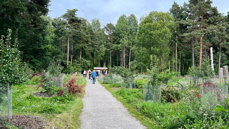Malmaberg Matskog 3