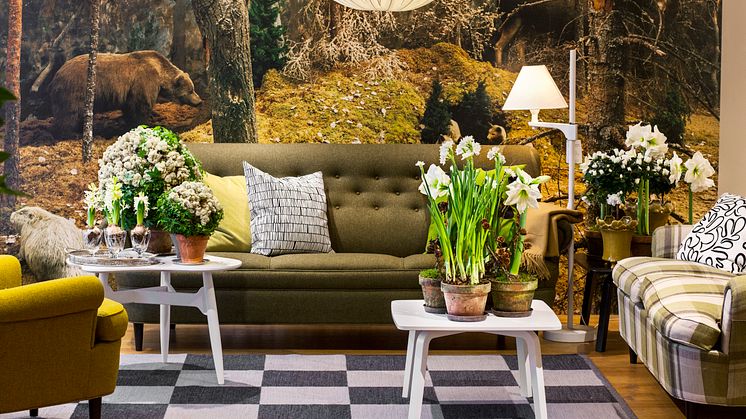 Säsongsinspiration december med julens sköna blommor