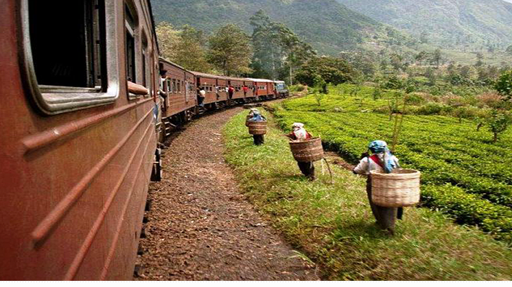 Populär tågresa på Sri Lanka 