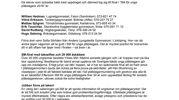 Sex finalisterna klara till ”SM för unga plåtslagare 2016”!