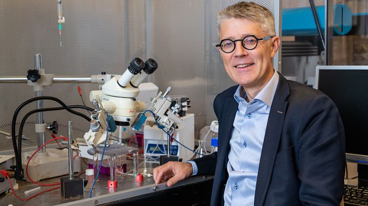 Fredrik Elinder, professor vid Linköpings universitet, har fått ett anslag över tre år för att studera utveckling av nya läkemedel mot förmaksflimmer.