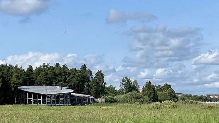 Pressinbjudan: förra årets succé-utställning är tillbaka – i år med fokus på utrotningshotade djur 