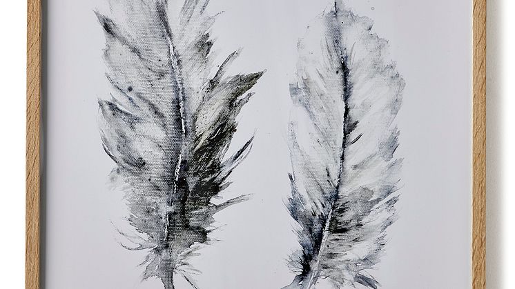 Cozy feathers