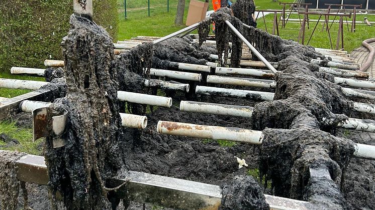 Veolia_Kläranlage Bad Lausick_Reinigung Belebungsbecken. 2jpg